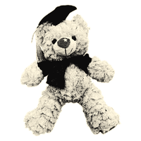 teddy